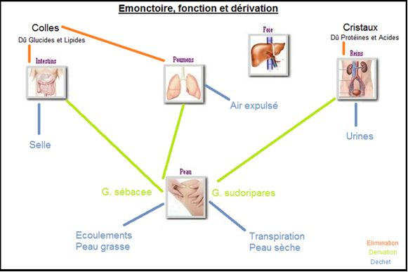 L limination NaturEauDouce Naturopathe La Tour Du Pin
